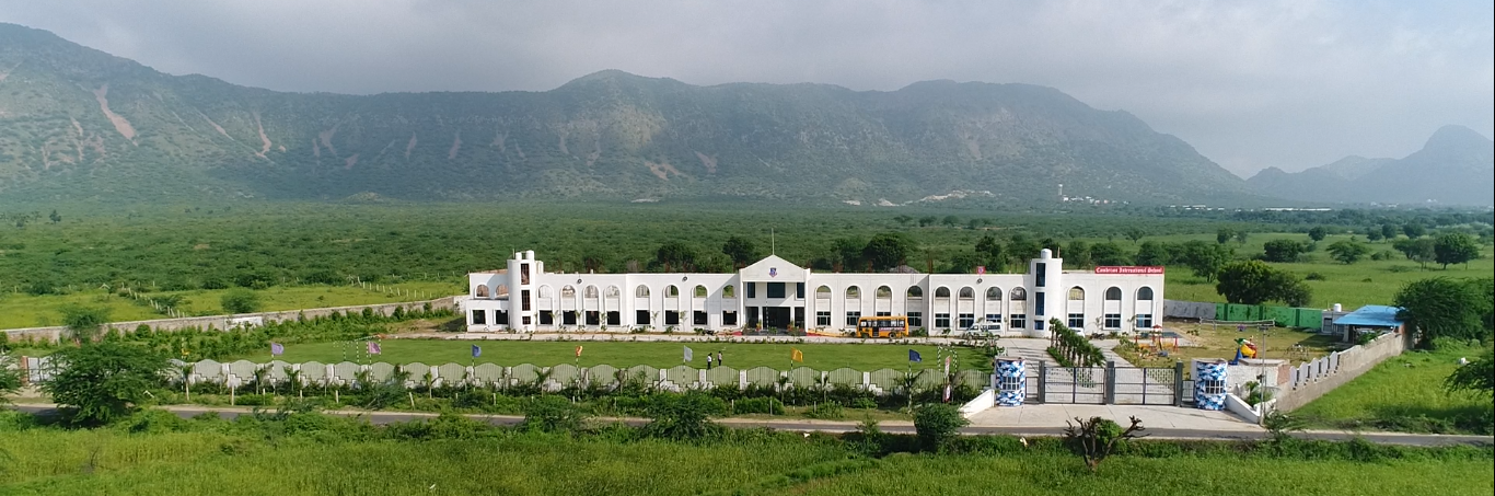 Cambrizon International School