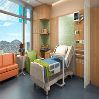 Health, Safety and Security